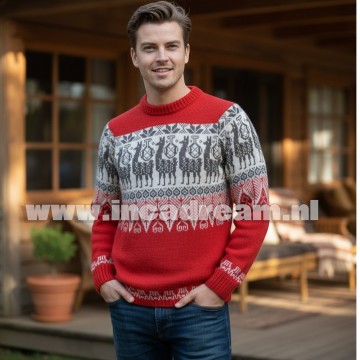 Alpaca men trui 19