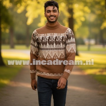 Alpaca men trui 34