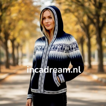 Alpaca pullover 13 1