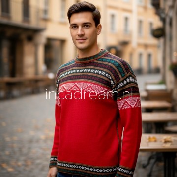 Alpaca pullover 17 0