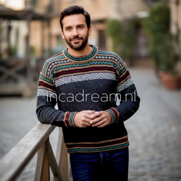 Alpaca pullover 2 0
