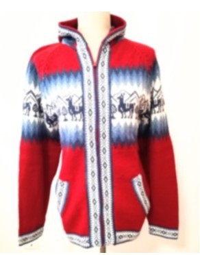 Captura de pantalla 2025 12 01 012101