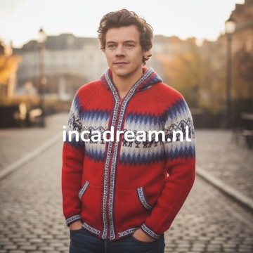 Men sweater 2