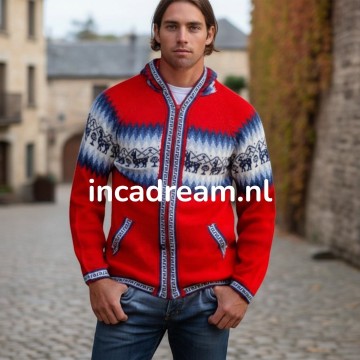 Men sweater 6