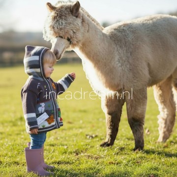 Peru children sweater 64