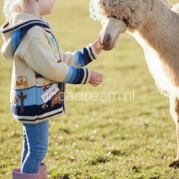 Peru children sweater 70