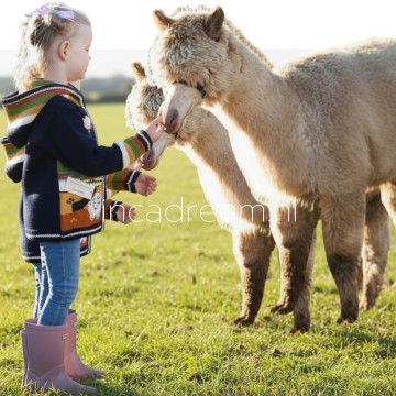 Peru children sweater 78