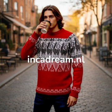 Peruaanse trui 8
