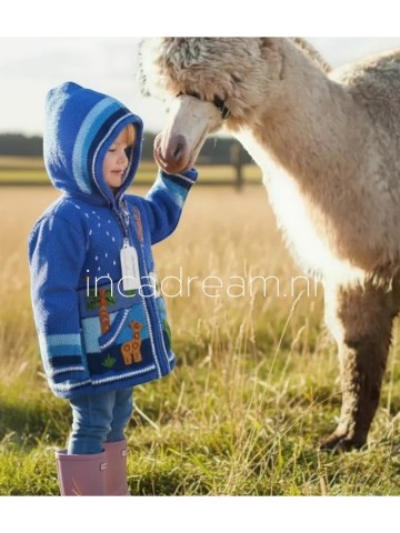 Peruvian sweater kids 188