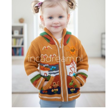 Peruvian sweater kids 206