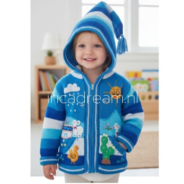 Peruvian sweater kids 214