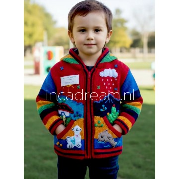 Peruvian sweater kids 97