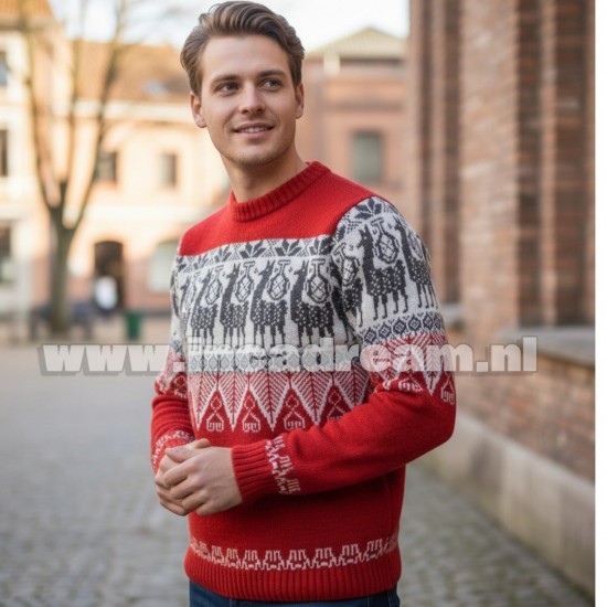Alpaca men trui 18