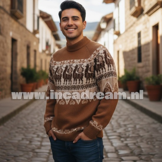 Alpaca men trui 33