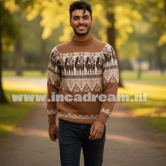 Alpaca men trui 34