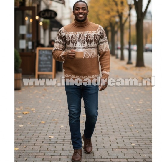 Alpaca men trui 35
