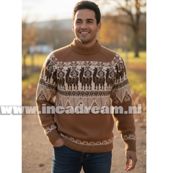 Alpaca men trui 36