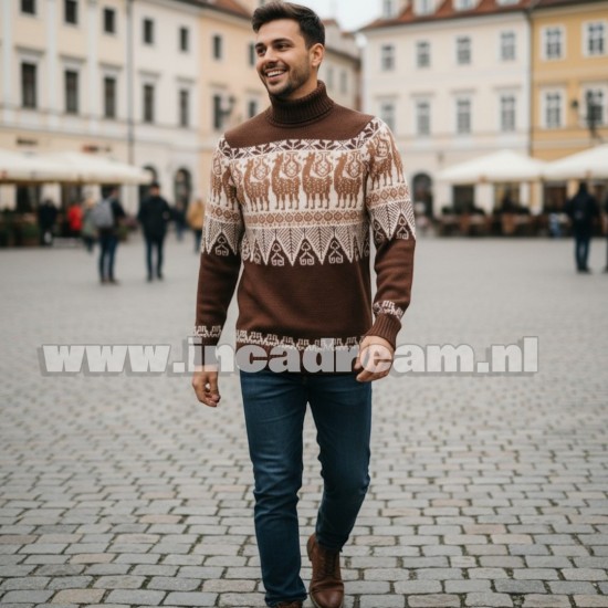 Alpaca men trui 5
