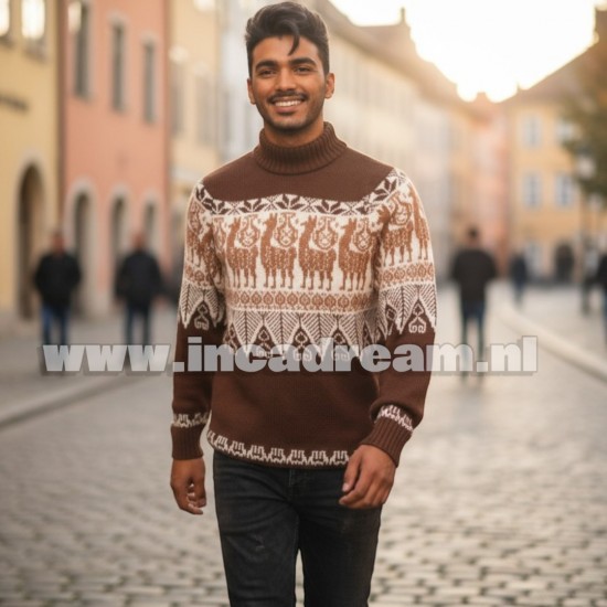 Alpaca men trui 7