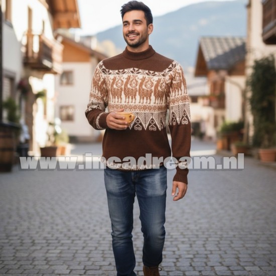 Alpaca men trui 8