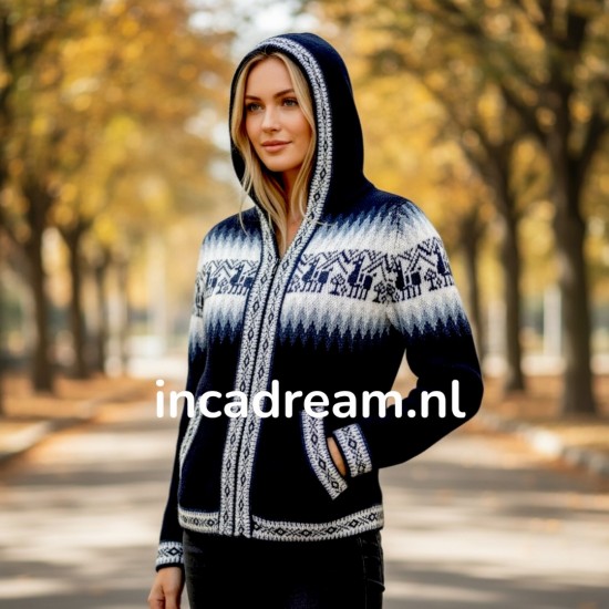 Alpaca pullover 13 1