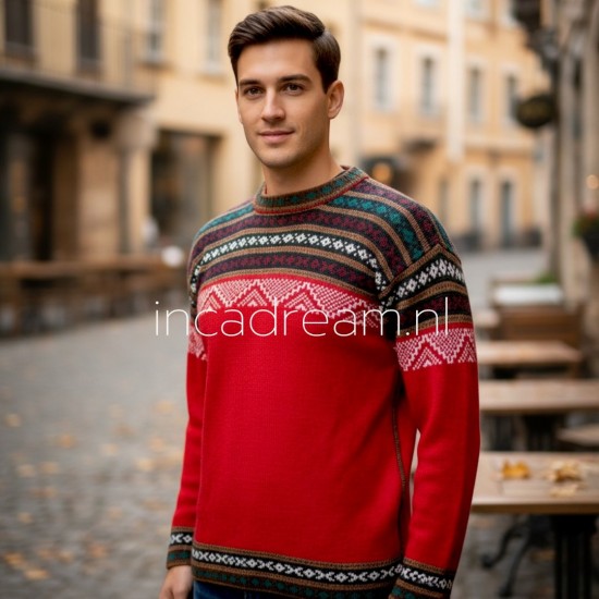 Alpaca pullover 17 0