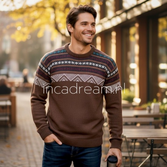 Alpaca pullover 22 0