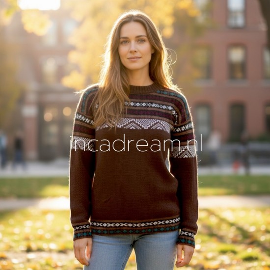 Alpaca pullover 26