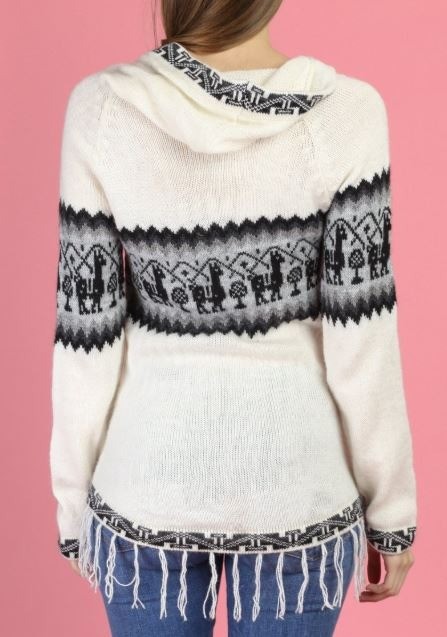 Alpaca pullover hoodie