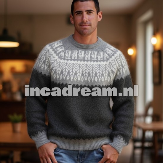 Alpaca sweater 21