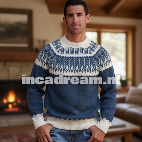 Alpaca sweater 9