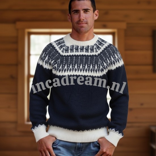 Alpaca sweaters 32