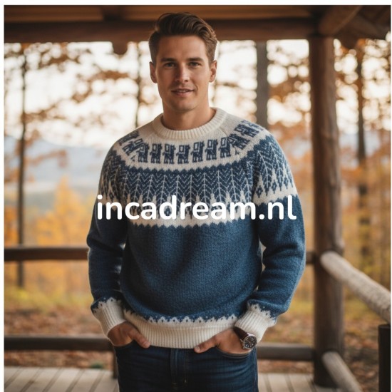 Gebreide trui 1