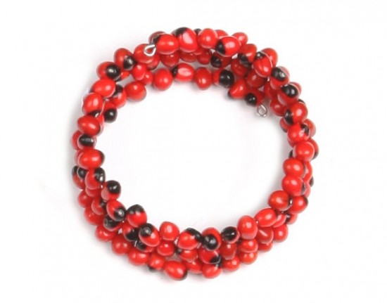 Huayruro lucky seeds  wrapping ecofriendly bracelet