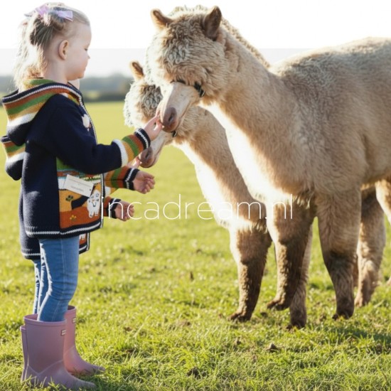 Peru children sweater 78