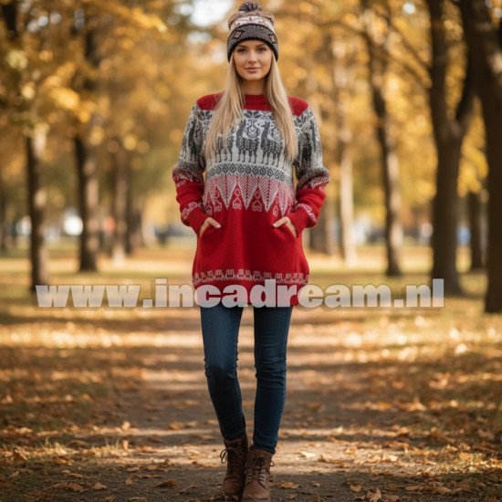 Peru sweater 7