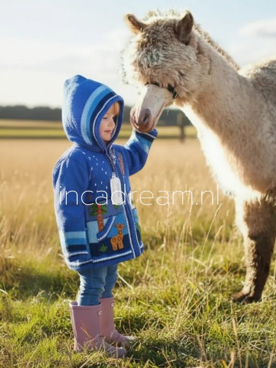 Peruvian sweater kids 187