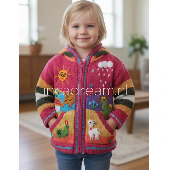 Peruvian sweater kids 28