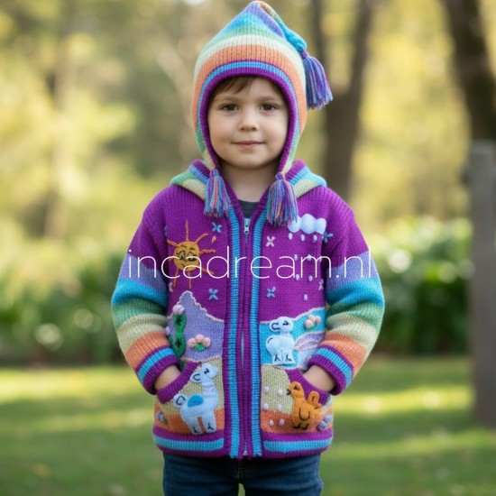 Peruvian sweater kids 6