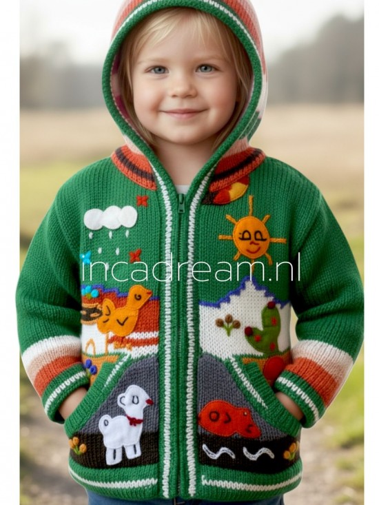 Peruvian sweater kids 71