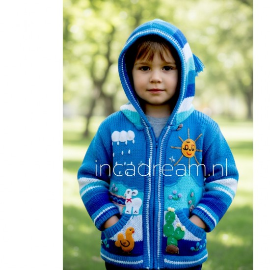 Peruvian sweater kids 82